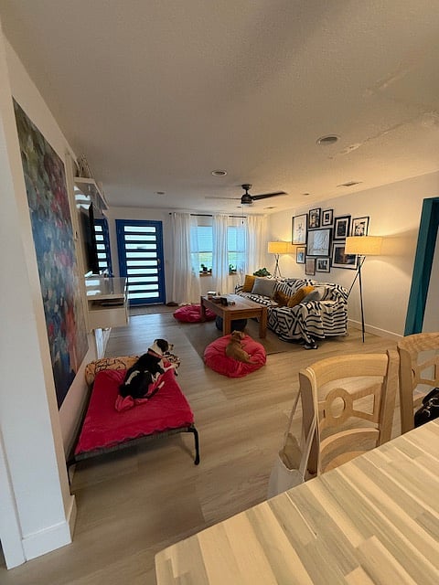Furnished Finder property 416922_1 photo 18