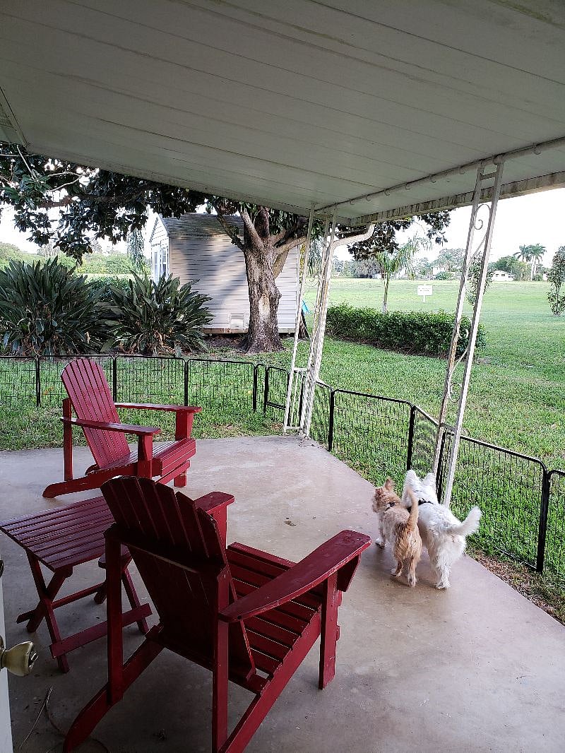 Furnished Finder property 416933_1 photo 13