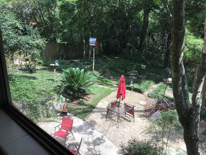 #1 Br window view north & east. Shady all afternoon.