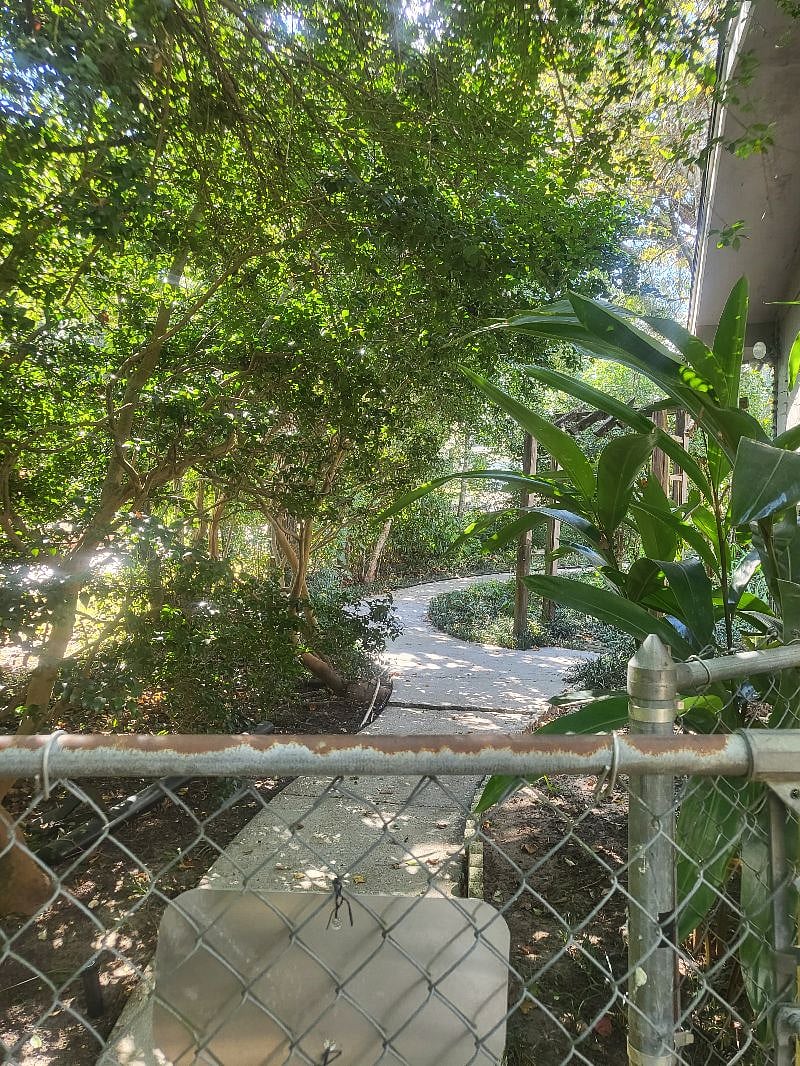 Side path to driveway/ back yard.