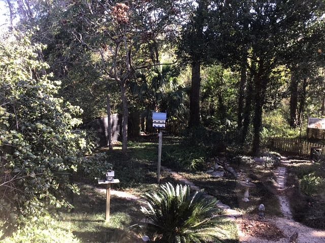 View from study