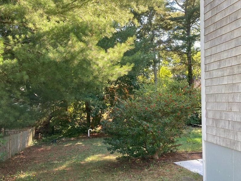 Backyard view.