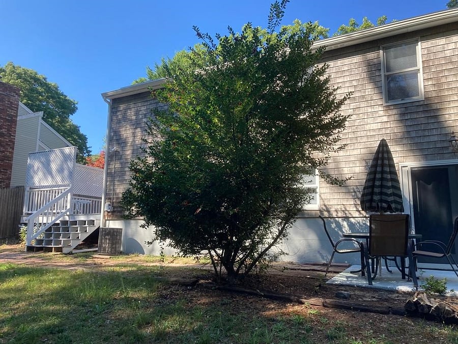 View of house from backyard.