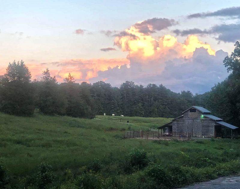View of the clouds reflecting the sunset in the evening, and of the neighboring horse farm.