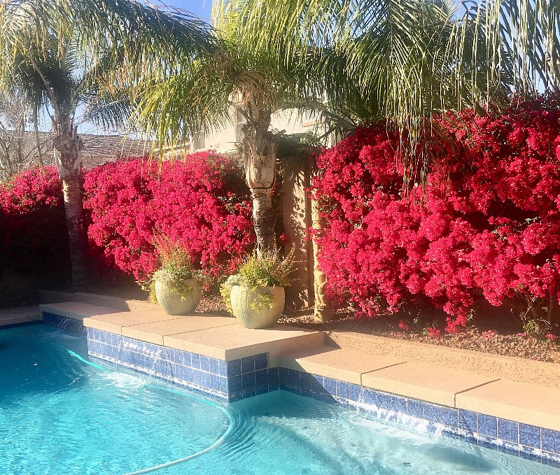 Furnished Finder property 417222_1 photo 7