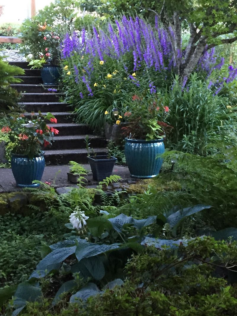Front yard and staircase