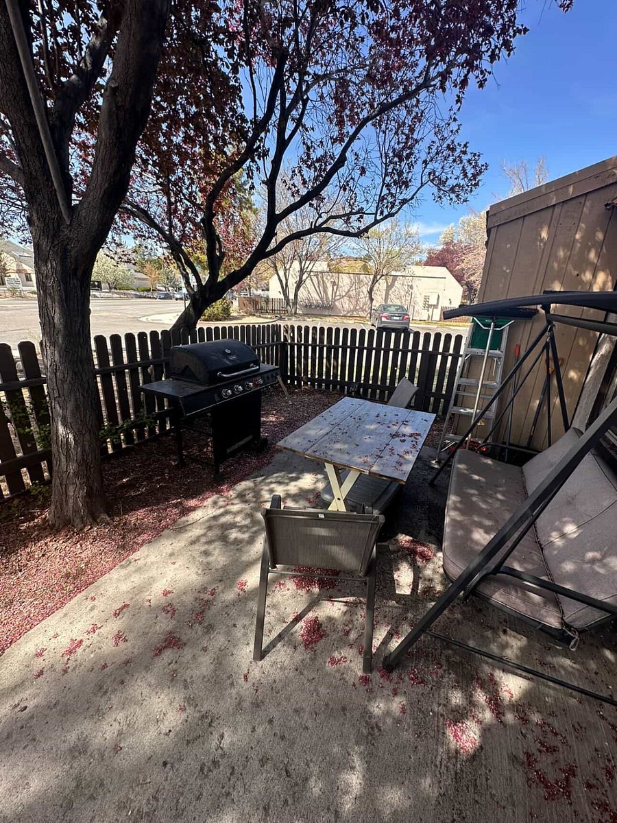 Furnished Finder property 417476_1 photo 16