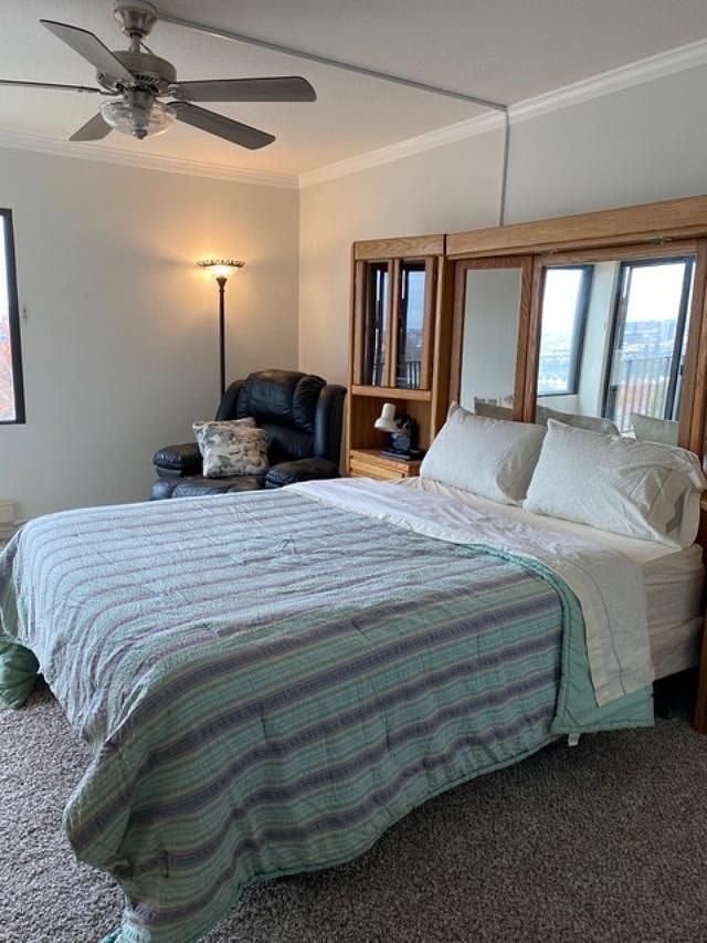 Furnished Finder property 417650_1 photo 5