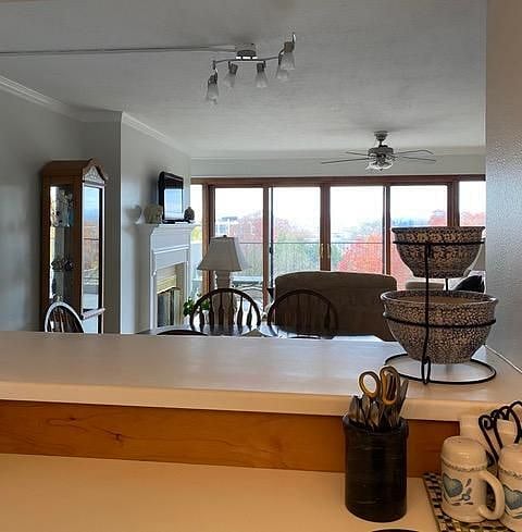 Furnished Finder property 417650_1 photo 11