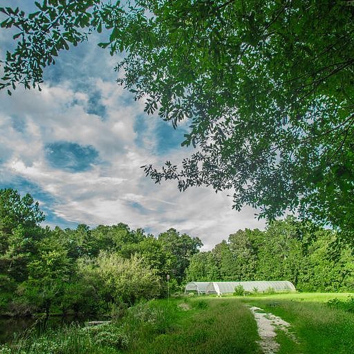 View of the organic farm along walking trail