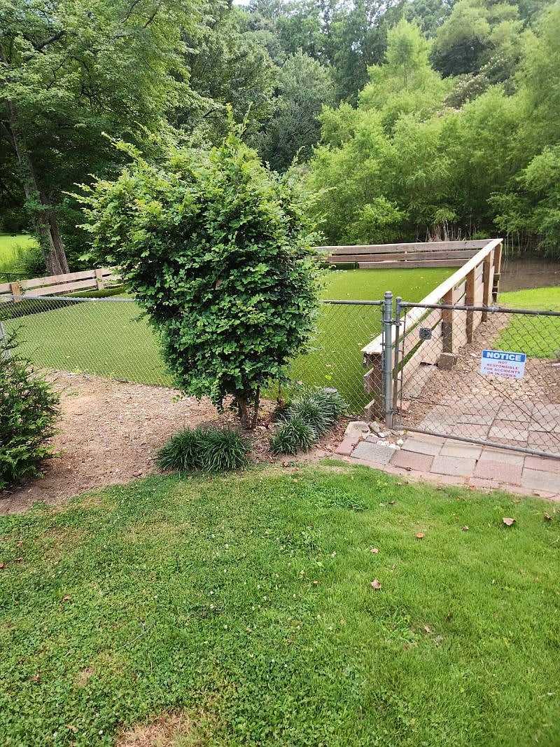 Furnished Finder property 418028_2 photo 16