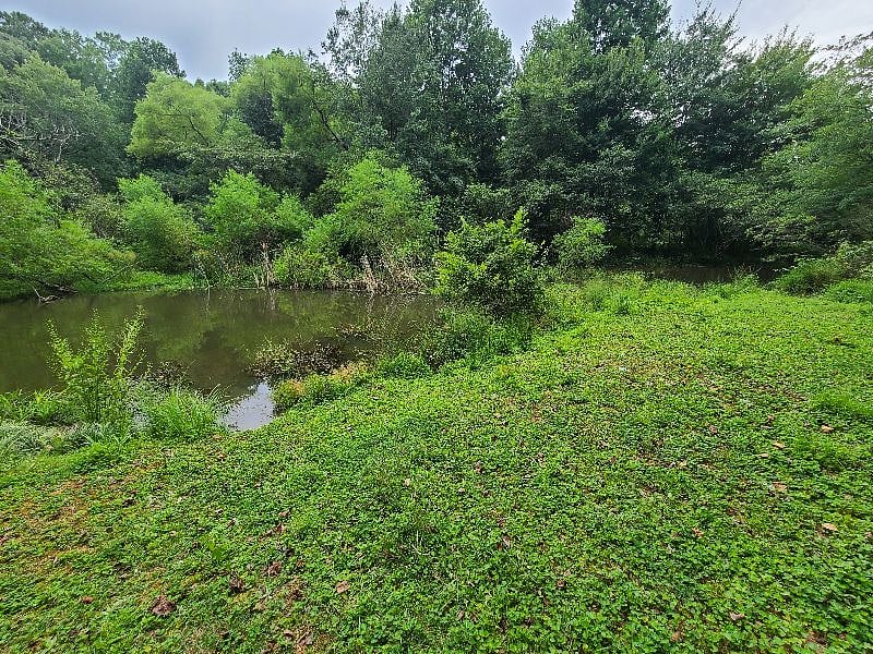 Furnished Finder property 418028_2 photo 18