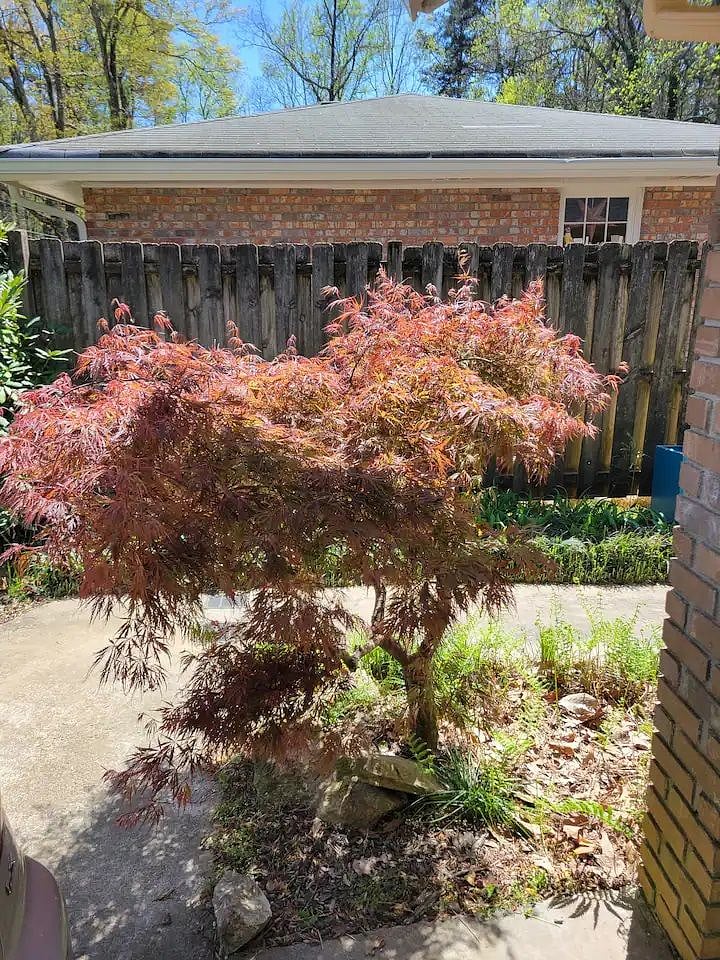Furnished Finder property 418028_2 photo 22