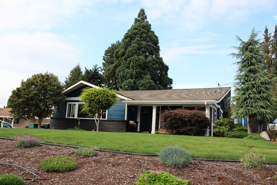 Furnished Finder property 418041_1 photo 12
