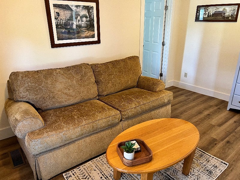 Pull out double sleeper sofa.
