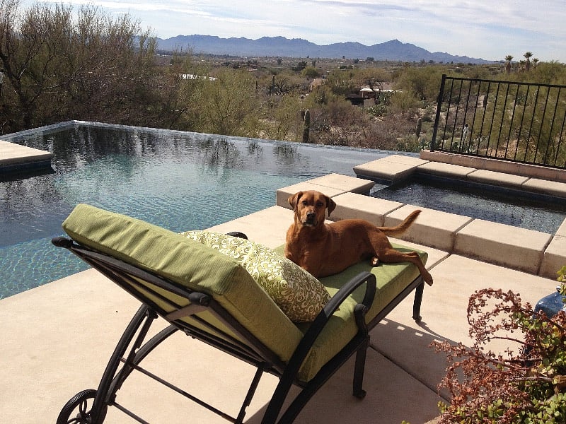 So relaxing at any time of day (this is a picture of our dog, not included!)