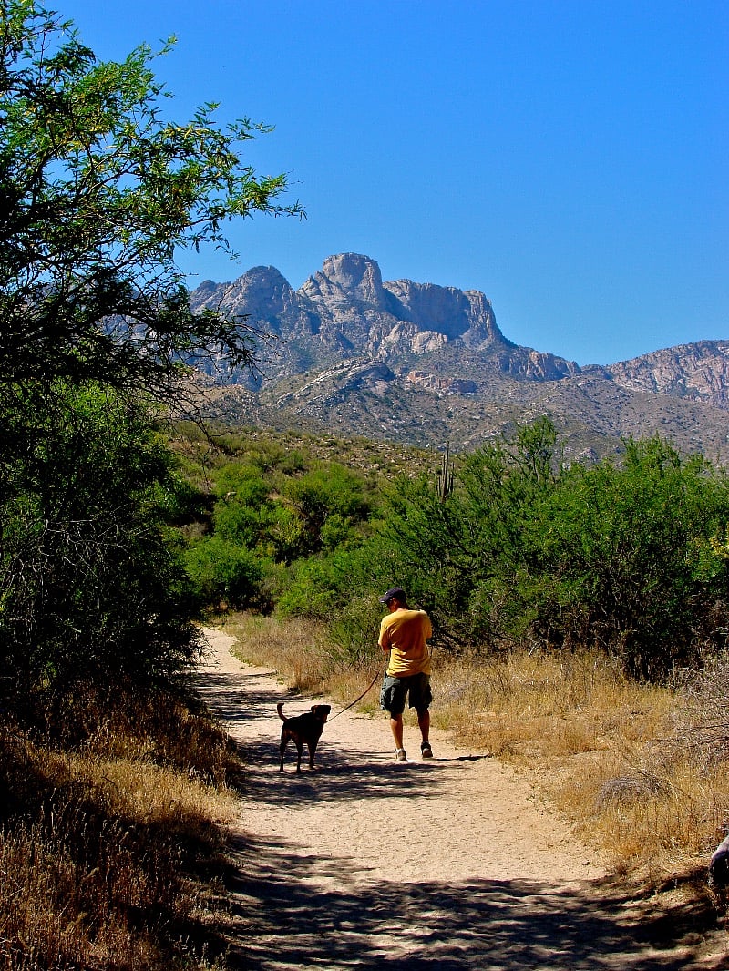 Several levels of hiking in Catalina State Park
