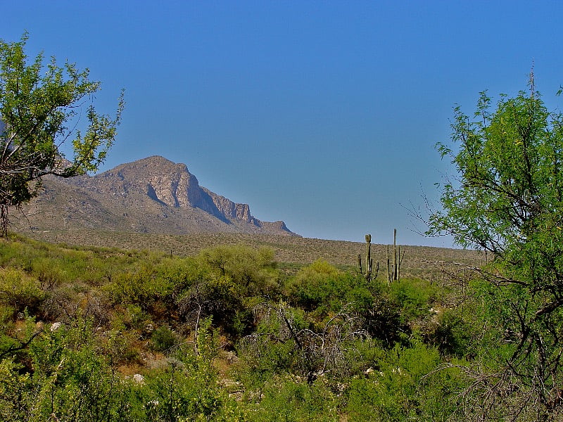 Catalina State Park is a quick 10min away
