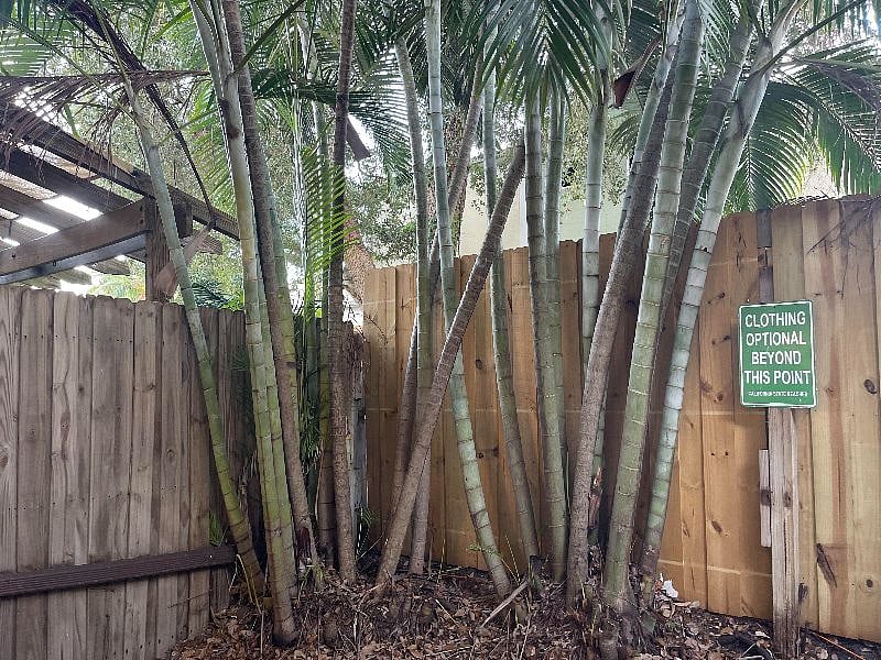 Furnished Finder property 418202_1 photo 14