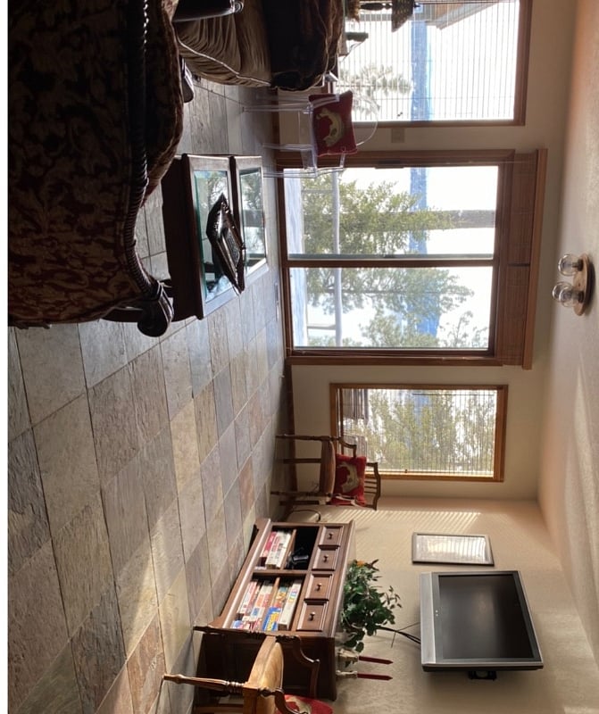 Lower family room area