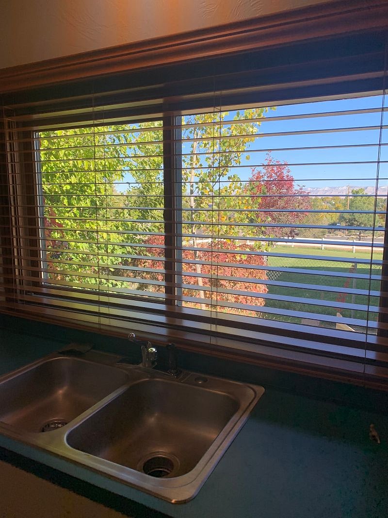 Furnished Finder property 418320_1 photo 10