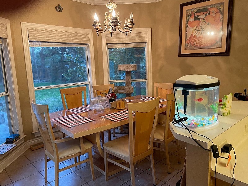 Furnished Finder property 418325_1 photo 6