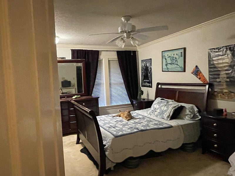 Furnished Finder property 418325_1 photo 7