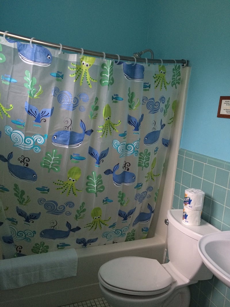 Furnished Finder property 418574_1 photo 11