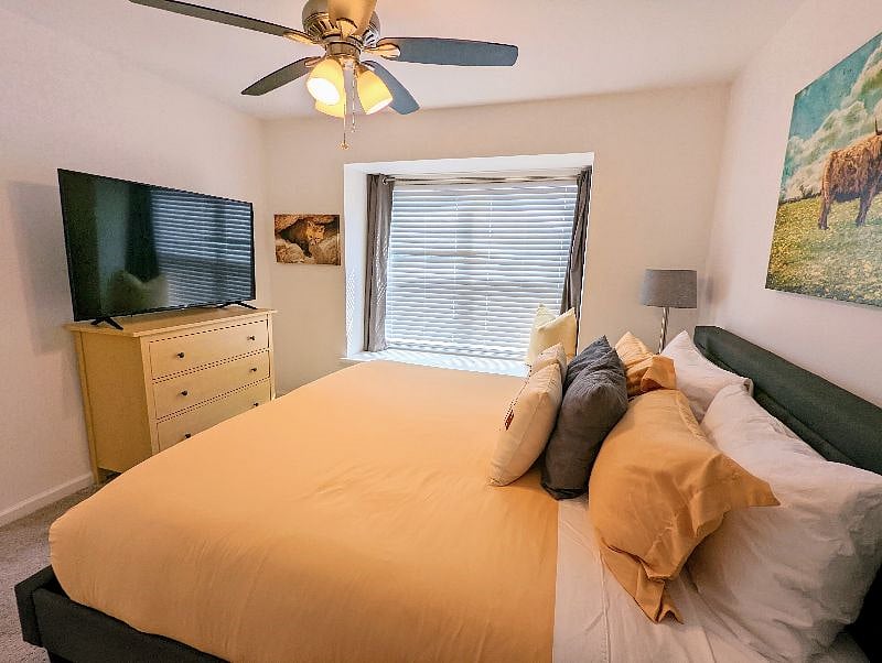 Furnished Finder property 418580_1 photo 20