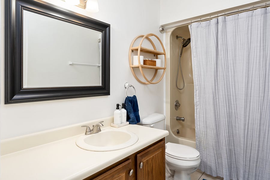 Furnished Finder property 418760_1 photo 16