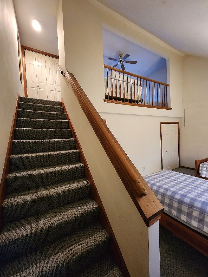 Furnished Finder property 418769_1 photo 18