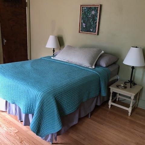 Downstairs bedroom