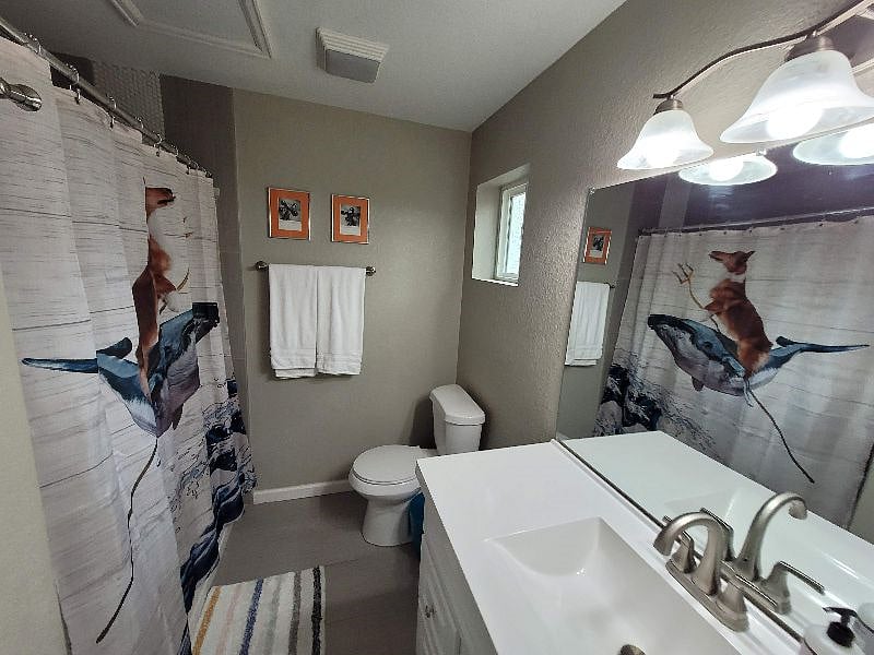 Furnished Finder property 419159_1 photo 12