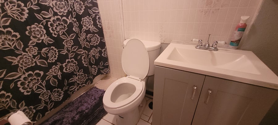 Furnished Finder property 419177_1 photo 5