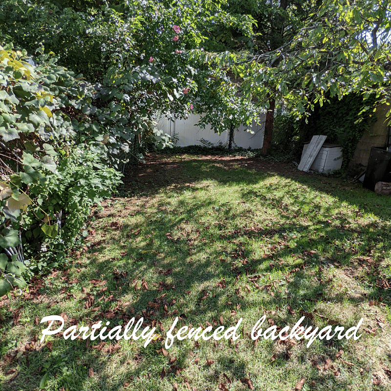 Furnished Finder property 419228_1 photo 44