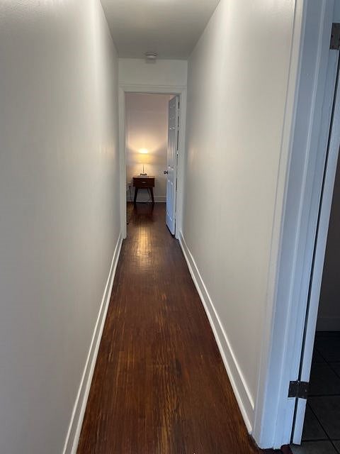 Furnished Finder property 419305_1 photo 16