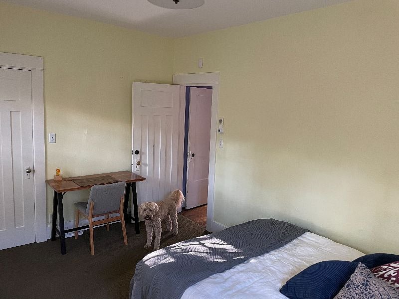 Bedroom door to hallway (plus house dog)