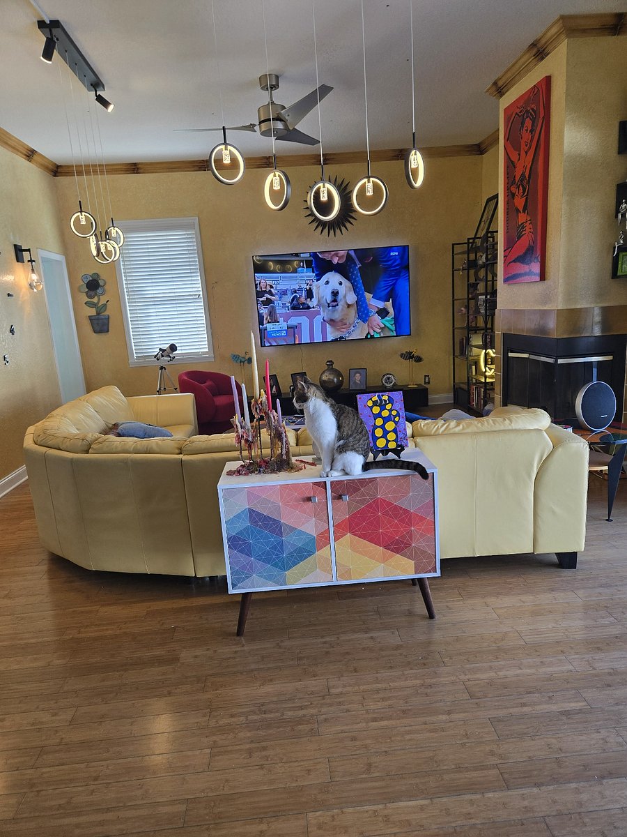 Furnished Finder property 419394_1 photo 12