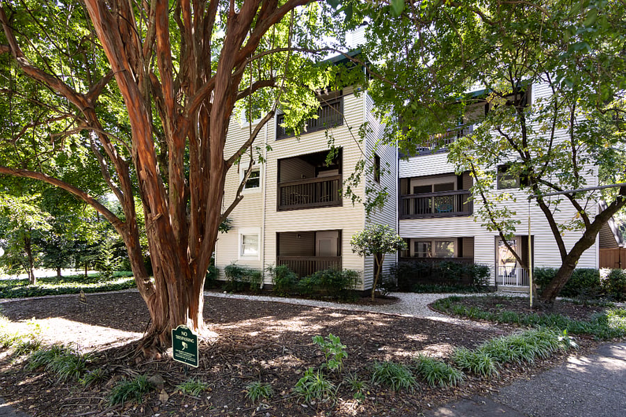 Furnished Finder property 419433_2 photo 9