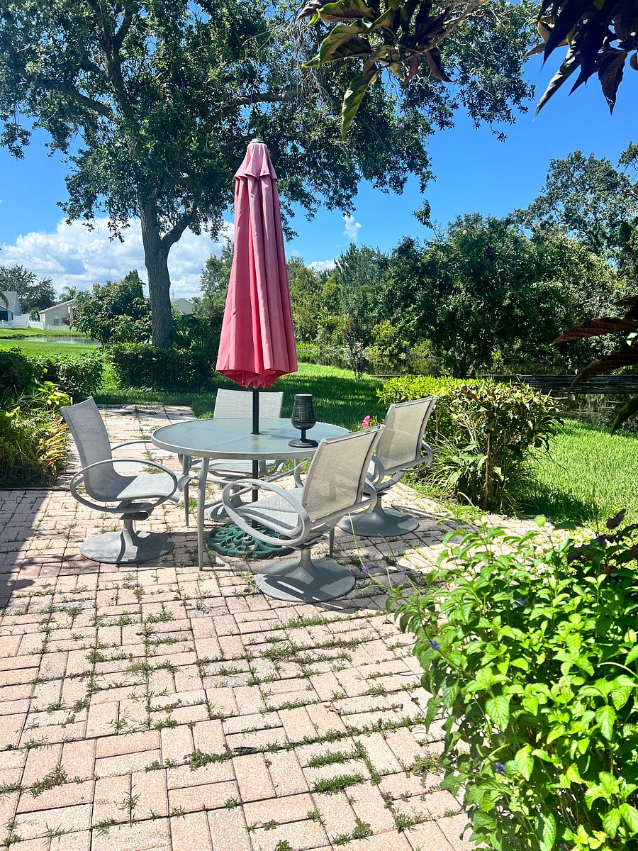 Furnished Finder property 419805_1 photo 11