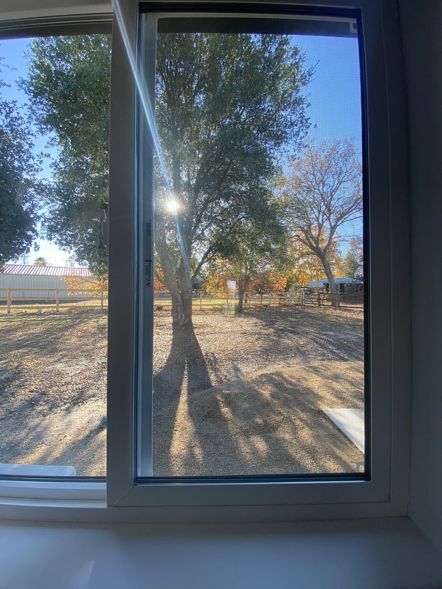 Furnished Finder property 420004_1 photo 12