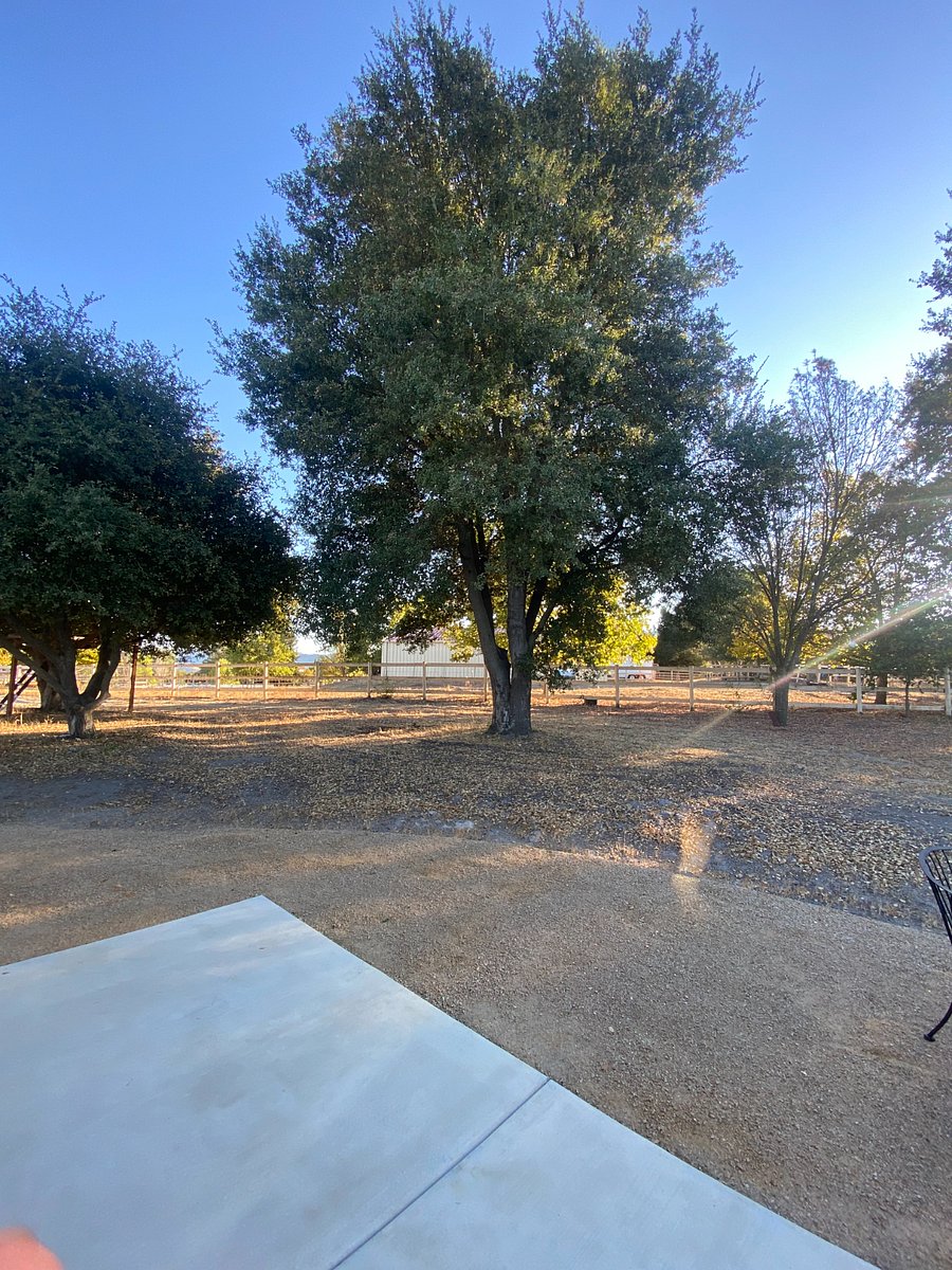 Furnished Finder property 420004_1 photo 14