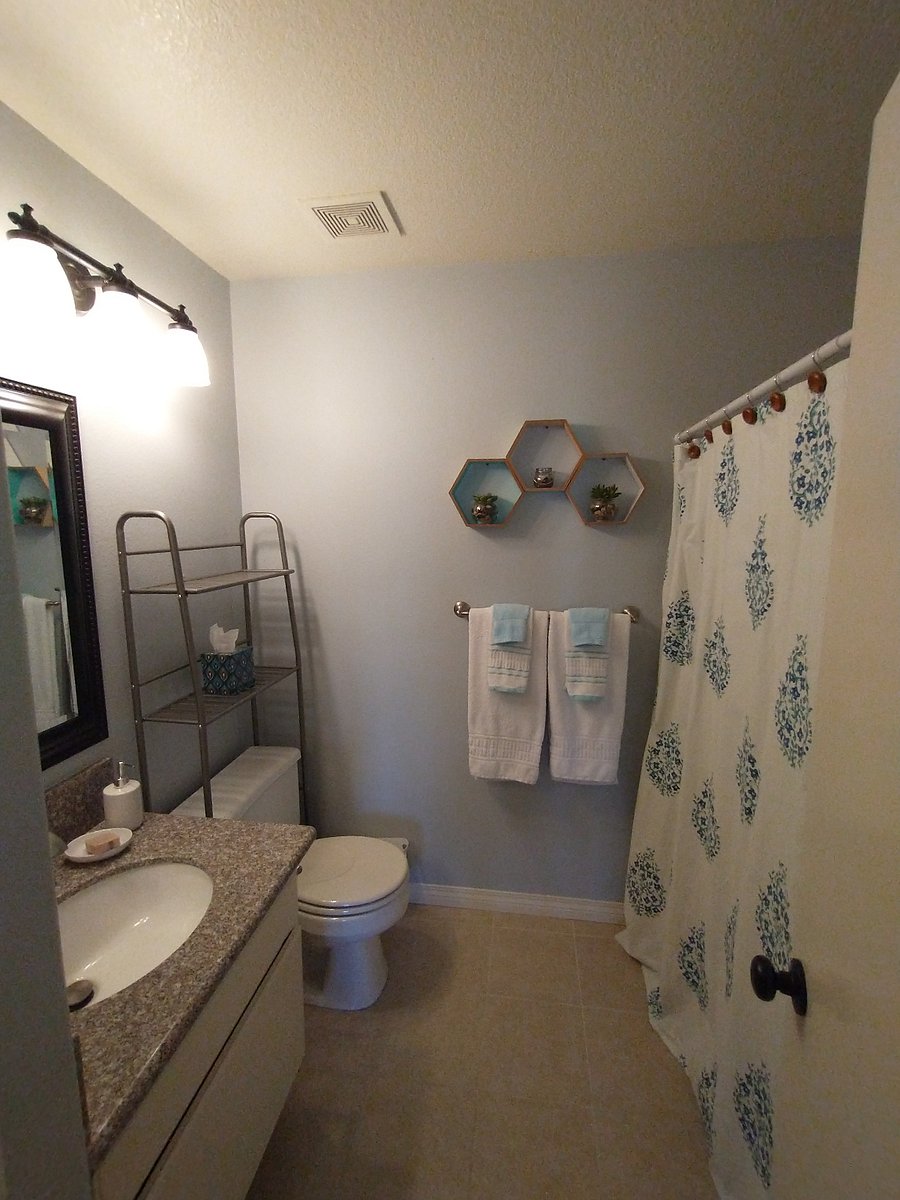 Furnished Finder property 420139_1 photo 4