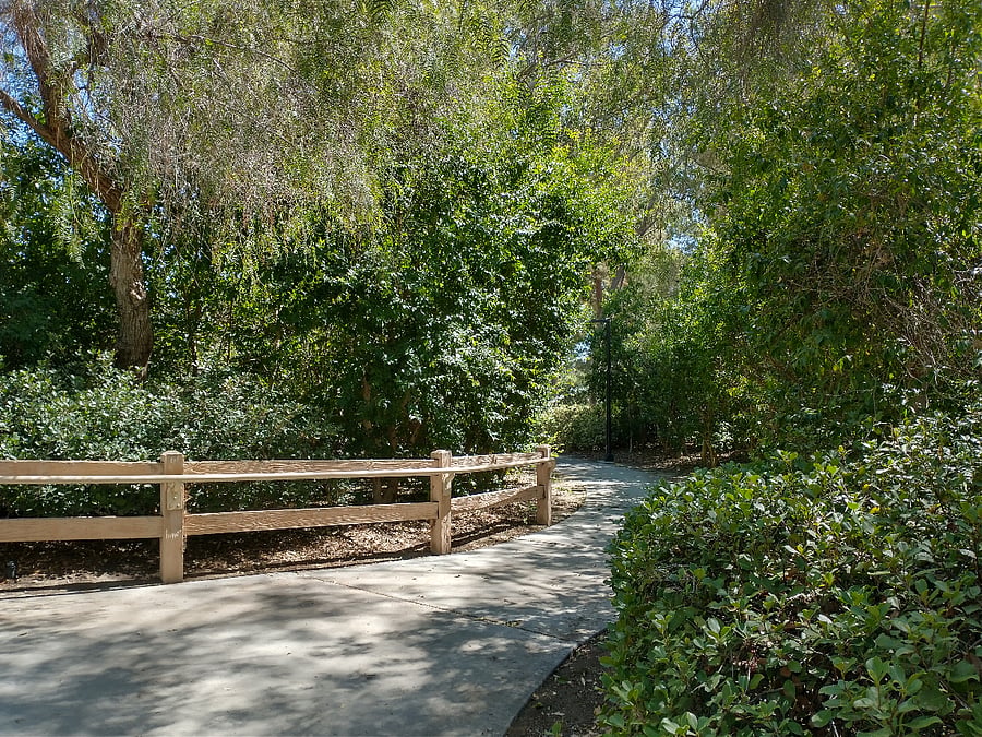 Furnished Finder property 420139_1 photo 13
