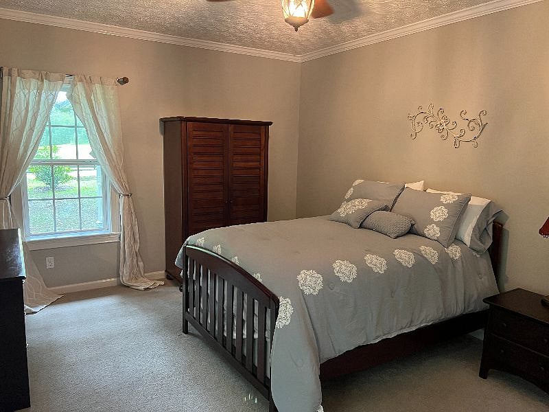 Furnished Finder property 420177_1 photo 13
