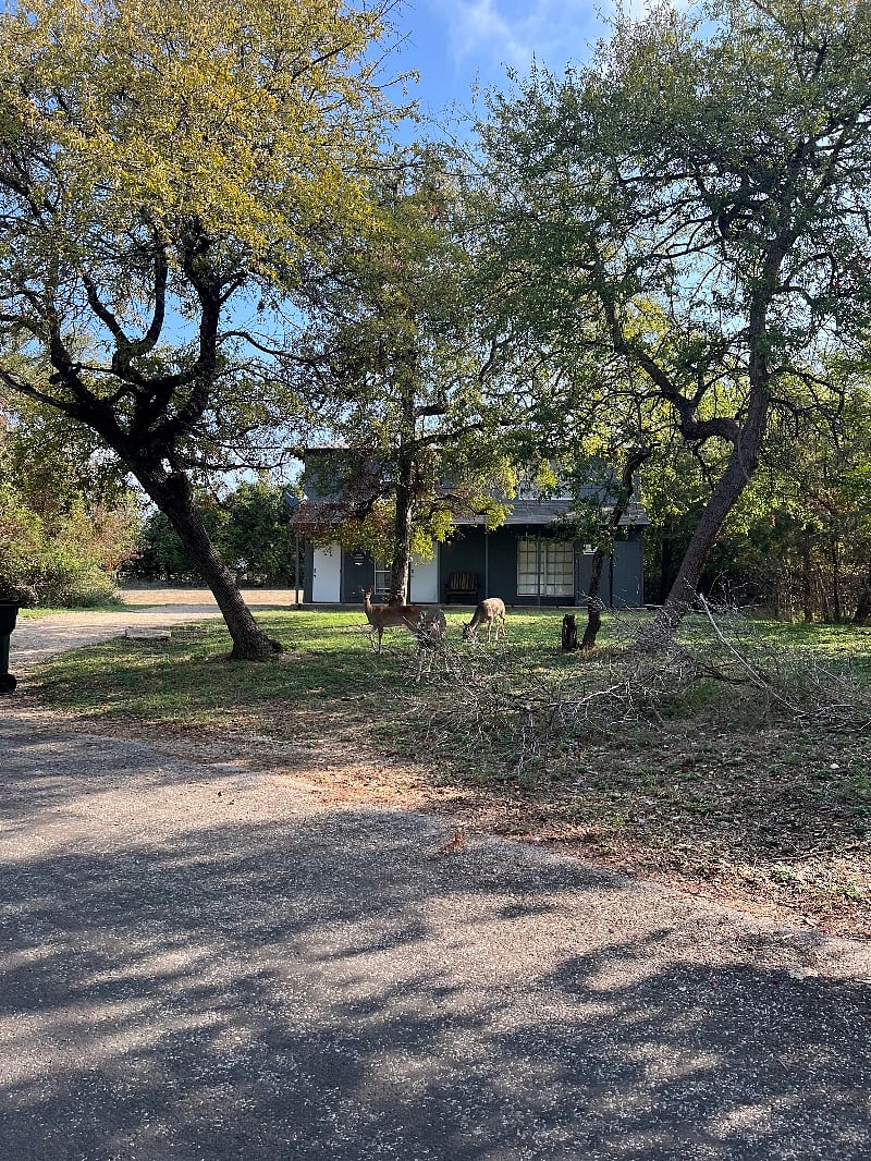 Furnished Finder property 420183_1 photo 10