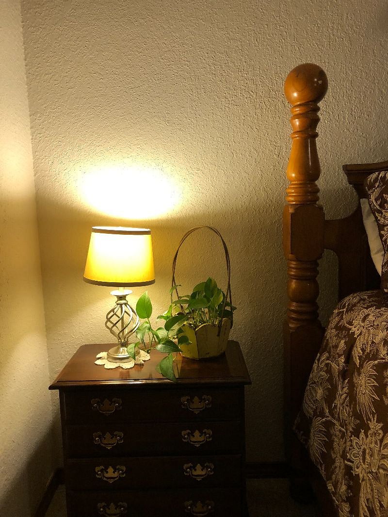 Furnished Finder property 420240_1 photo 19