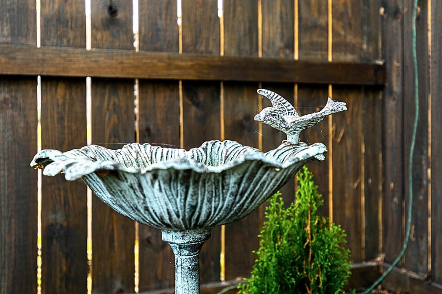 Enjoy the backyard in our quiet neighborhood. Walk to the Lakeside Farmer's Market and let your pets enjoy the spacious, safe outdoor space.