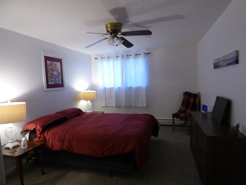 Furnished Finder property 420325_1 photo 21