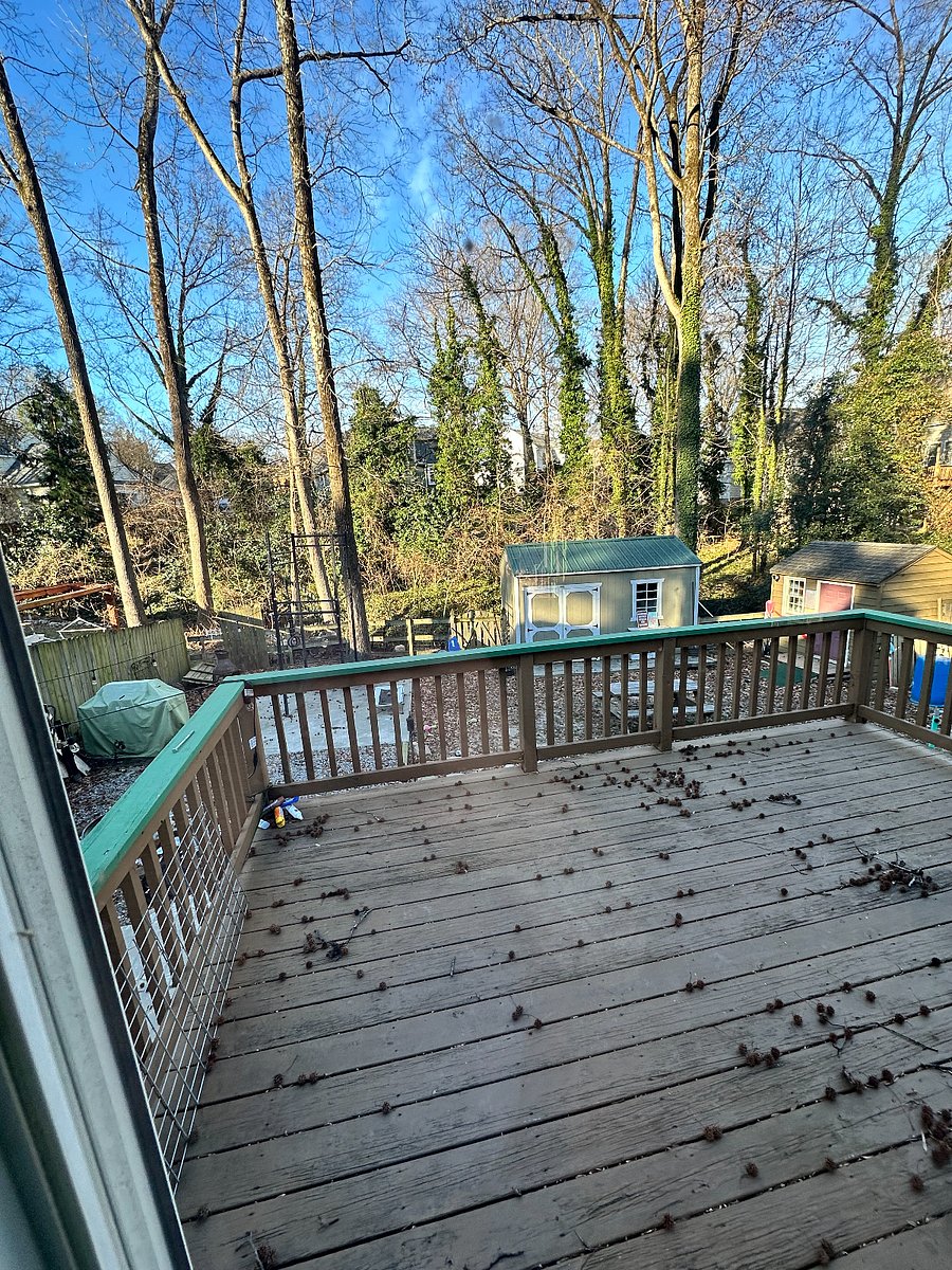 back porch/yard